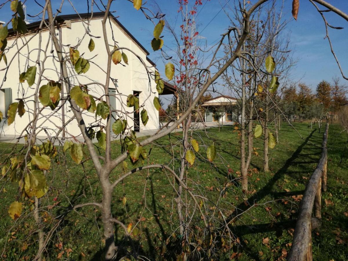 Agriturismo Corte Benetti โรวีโก ภายนอก รูปภาพ