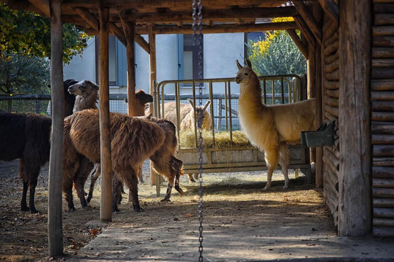 Agriturismo Corte Benetti โรวีโก ภายนอก รูปภาพ