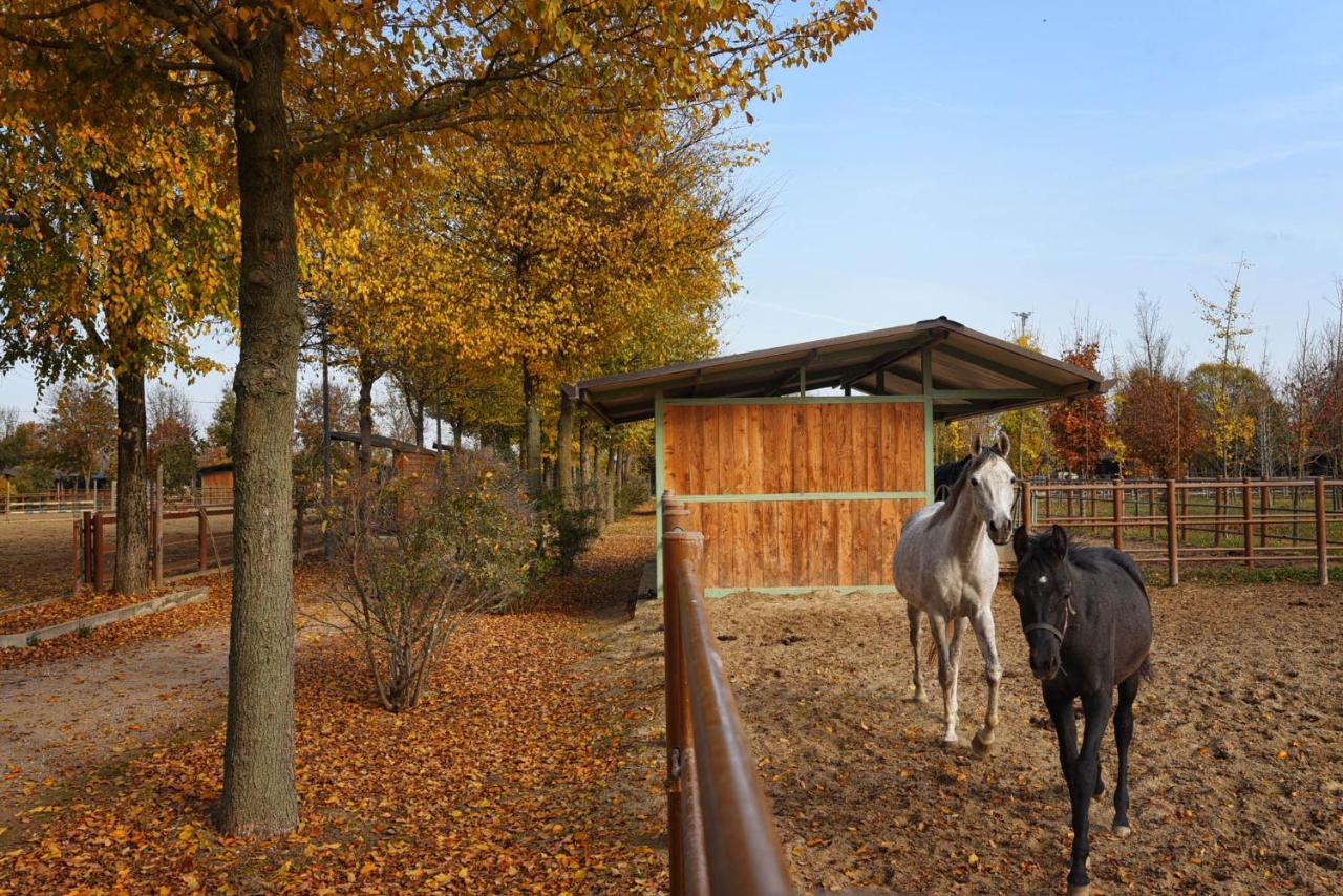 Agriturismo Corte Benetti โรวีโก ภายนอก รูปภาพ